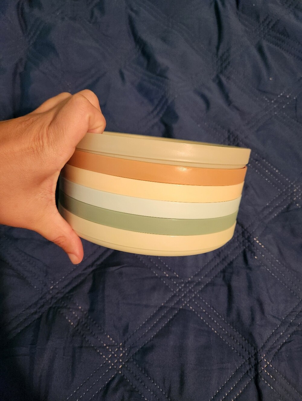 🎉 6ct Kids Sectional Plastic Plates